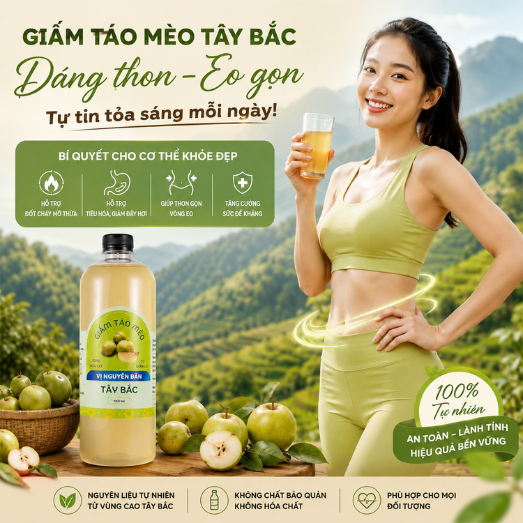 Giấm táo mèo Tây Bắc, dáng thon eo gọn