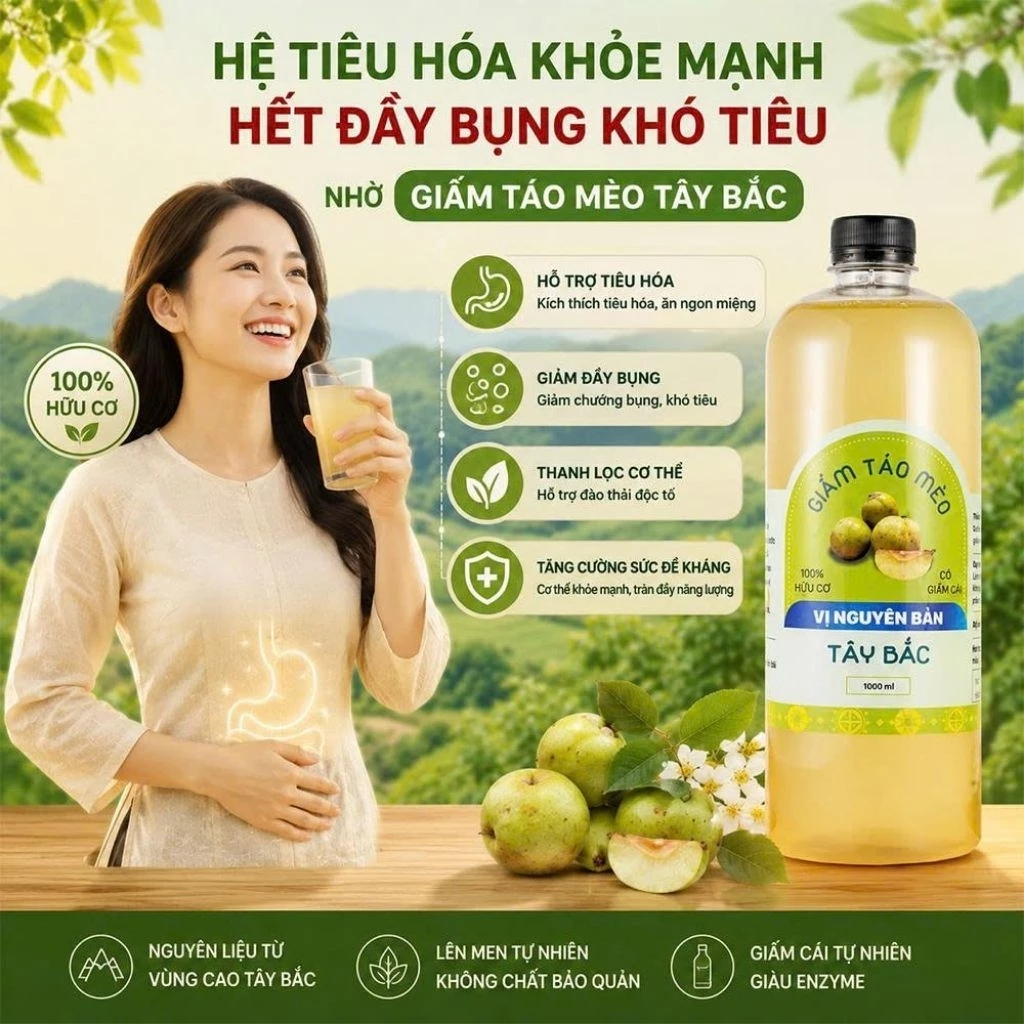 Hỗ trợ hệ tiêu hóa, hết đầy bụng khó tiêu