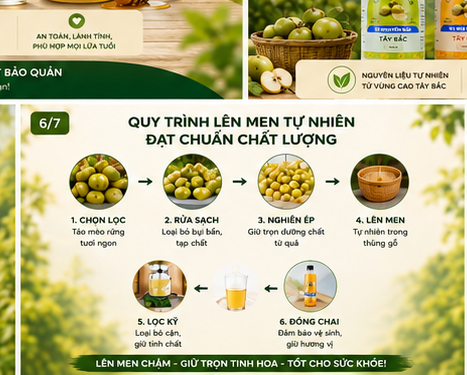 Quy trình lên men tự nhiên sáu bước