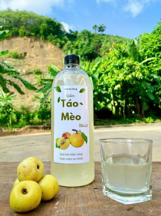 Chai giấm táo mèo hữu cơ bên quả táo mèo